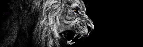 Nu Des Mondes star naked photo