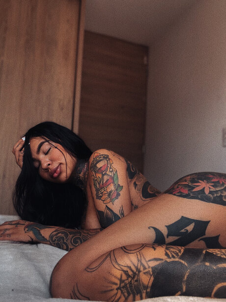 Lane star high quality picture