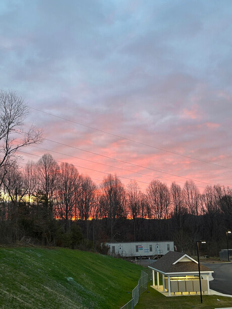 XO_ pornographic actress photo