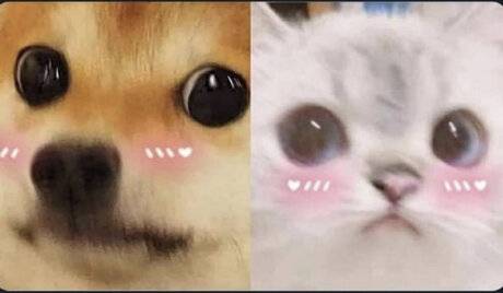 Sugar Rush_ nude actress gallery