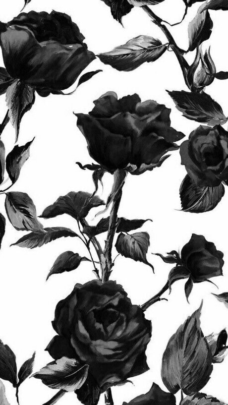 Tessie12 free star pic