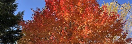 Southerncub model pornographic gallery