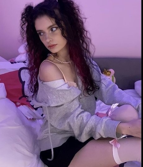 Nestix Quick model image