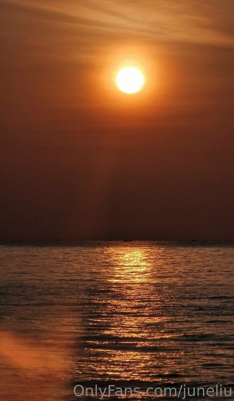 tattooed shemale onlyfans free sex picture