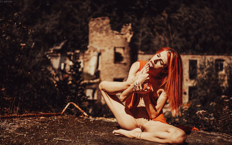 DinaCat star adult image