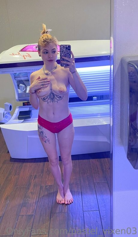 pastel vixen03 hot star galleries