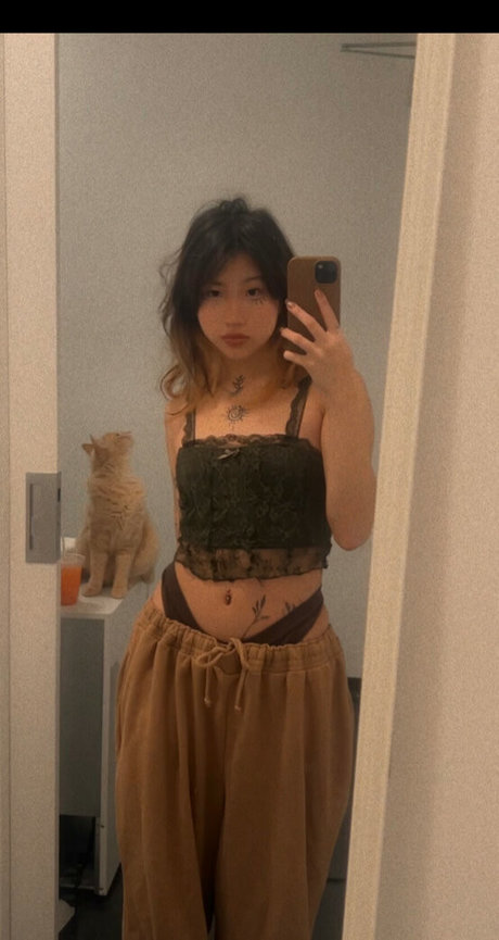 Rache lzh star art gallery