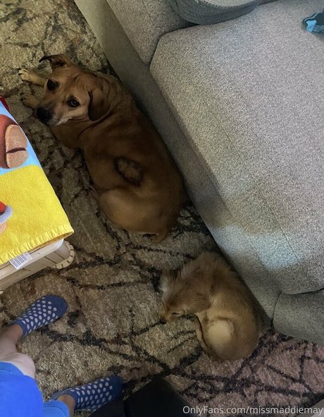 teen webcam onlyfans hd archive