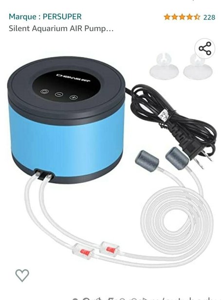 amateur lesbian onlyfans porn pic