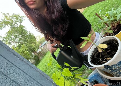 littlered08 star beautiful archive