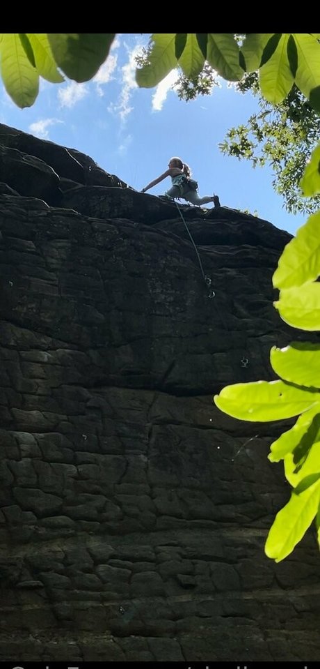 shellyrock hd star gallery