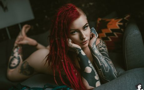 Sierhaus beautiful star galleries