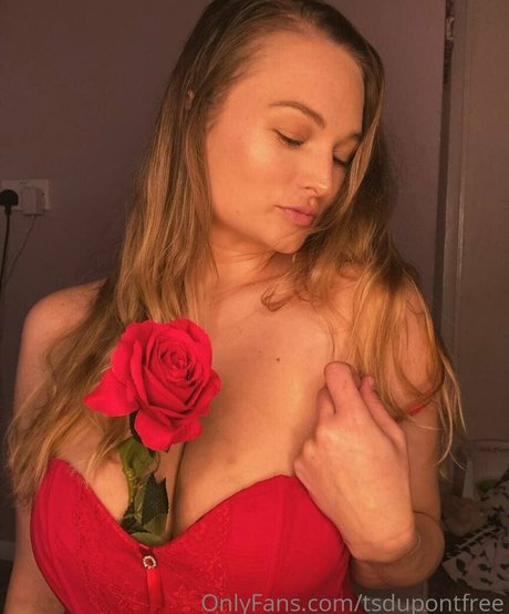 tsdupontfree hot star img