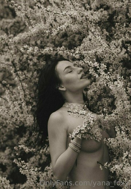 yanafoxy free model hot pic