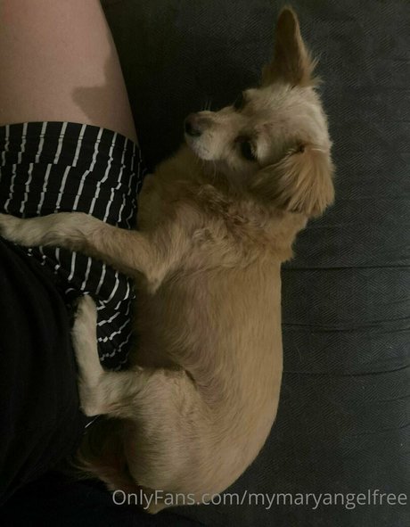 mymaryangell pornographic actress archive