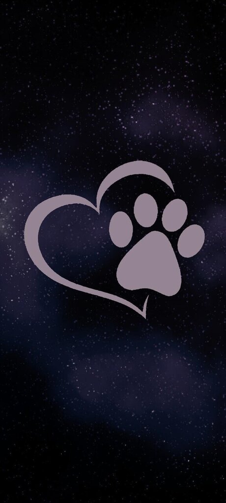 Queenwolf 12 model pretty photos