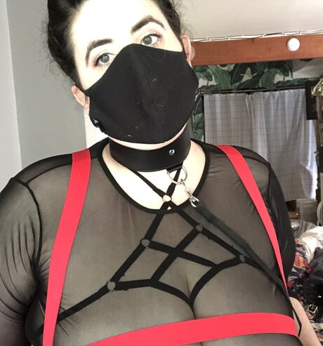 Marie s Free Page art star pictures