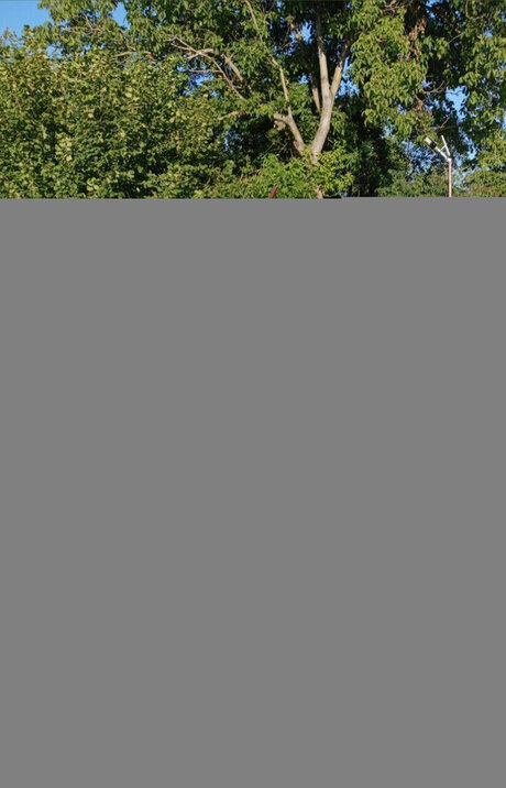 bomba_ model exclusive pics