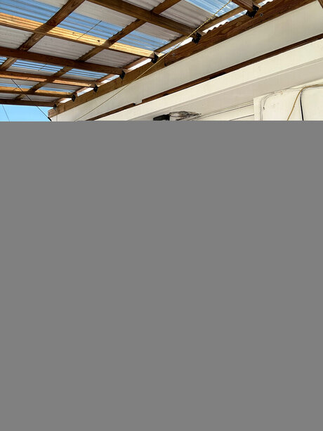 The Spicy Aquarius best model pics