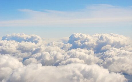 Stella Francis TS_ xxx star picture