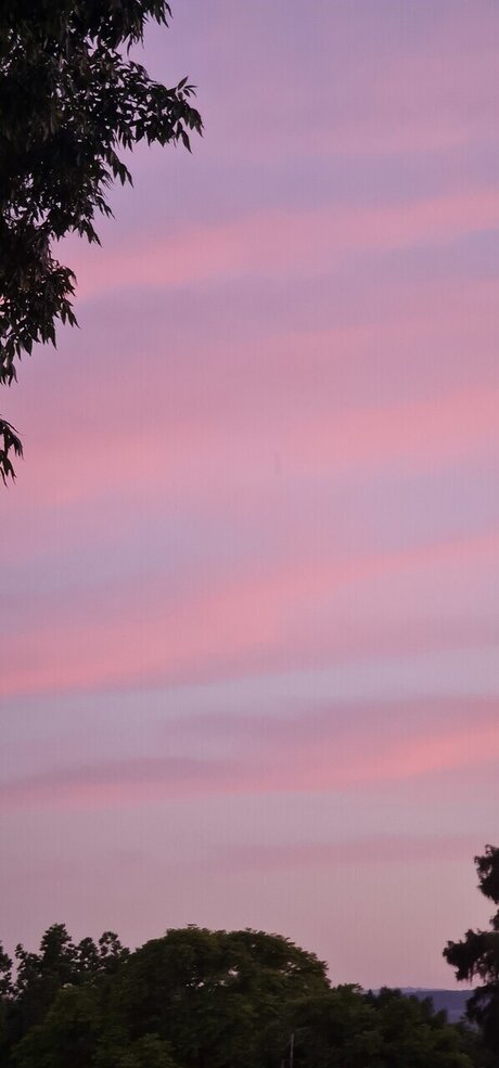 Holla Nola model beautiful images