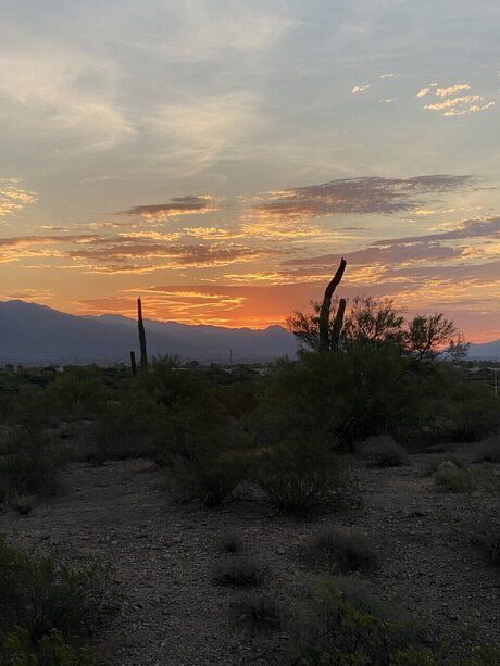 HappyCoupleVixen model porn galleries