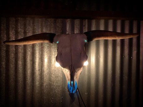 SoloWandering model top galleries