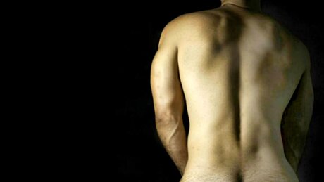 Lobo King_ art model archive