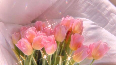 CutieKayBae high quality model galleries