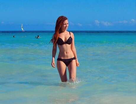 fractality beautiful star galleries