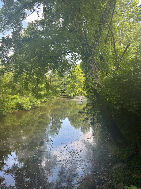 The Gold Goddess sexy pornstar img