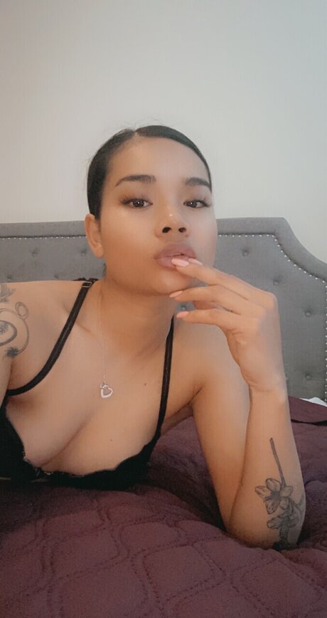 GracieLu_ hd star archive