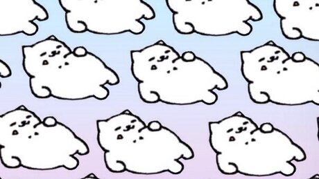 Lilly Lux beautiful star photo