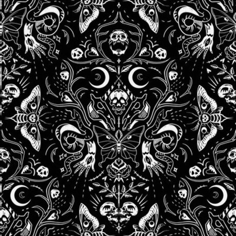 Glimmer Goth star xxx archive