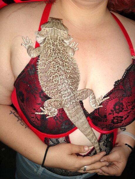 Bad bitches pornstar naked gallery