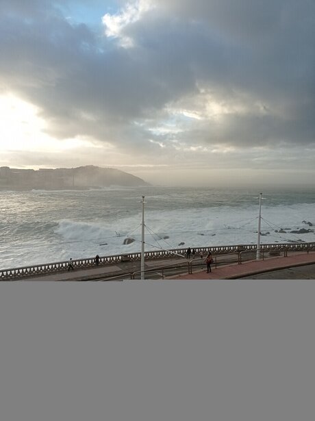 Caribbean Cinnamon star nice img