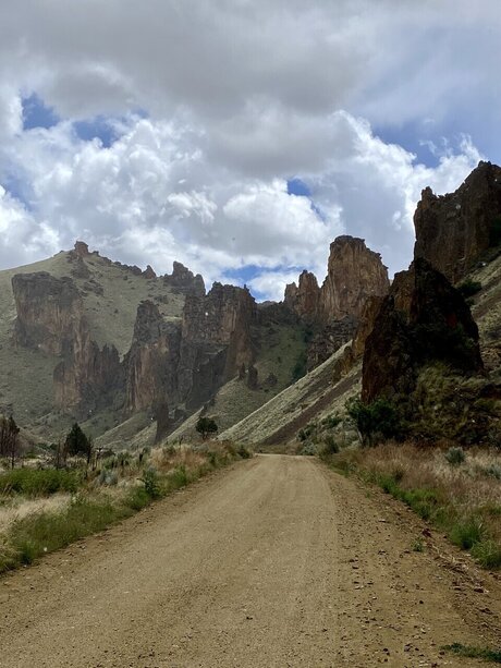 OliverGray star adult image