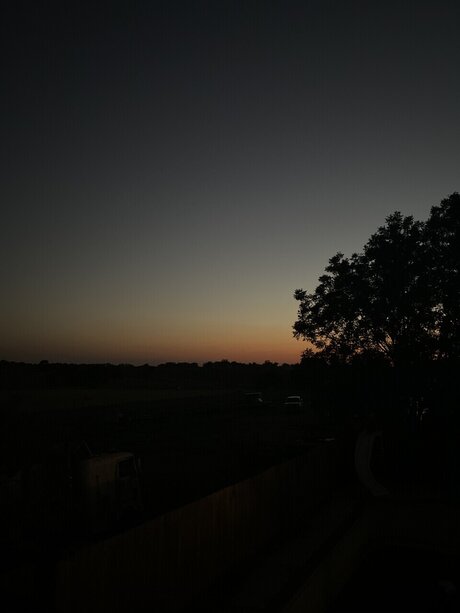 lexx porn actress image