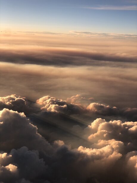 Angie xxx star picture