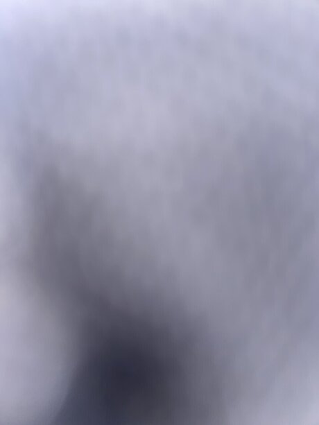 Slanginshit model img