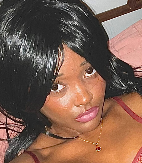 Finch Bird best pornstar images