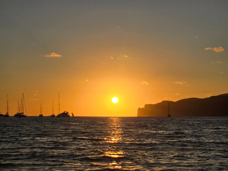 Cruisinkat best model photos