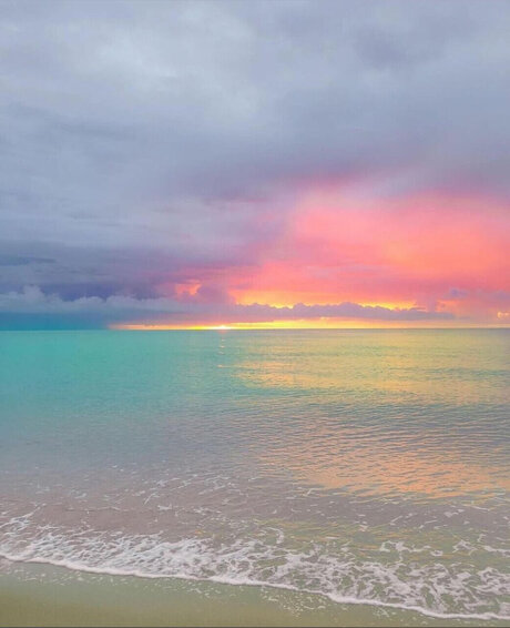 C H A N E L free star image