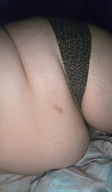 bbwsophieblake pornstar high quality image
