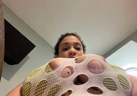 flowers star nice photos