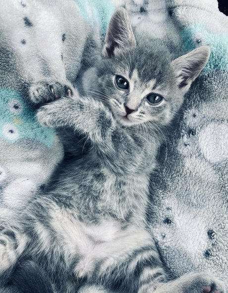 xxxhookedonbrookefree xxx actress pictures