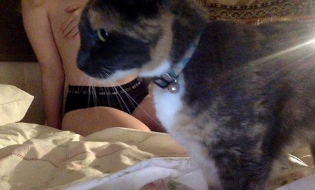 garbage bunni beautiful pornstar archive