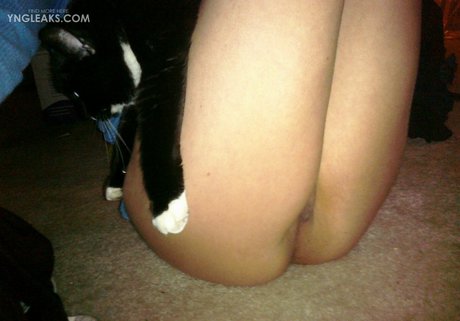 Holly Sedillos model porn galleries