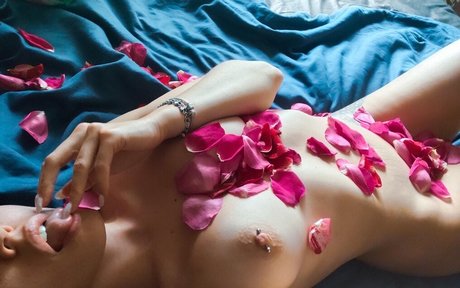 Hannacentauri star top archive