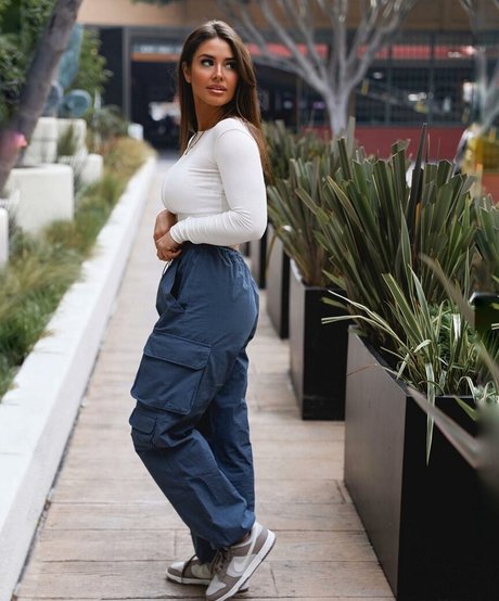 bambifitt hd star gallery